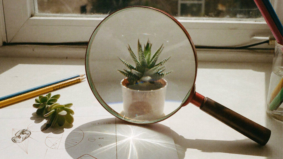 loupe fonctionnement