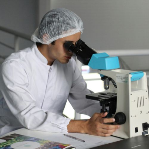 microscope ou loupe