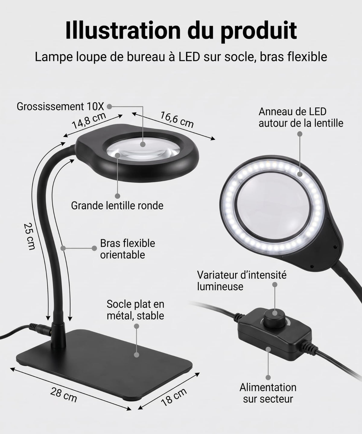 Lampe-Loupe sur Pied grossissement x10